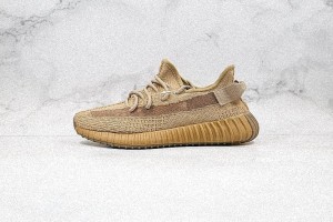 Fake Yeezy Boost 350 V2 'Earth' for Sale